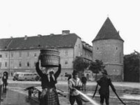 Kaptol 1955. godine